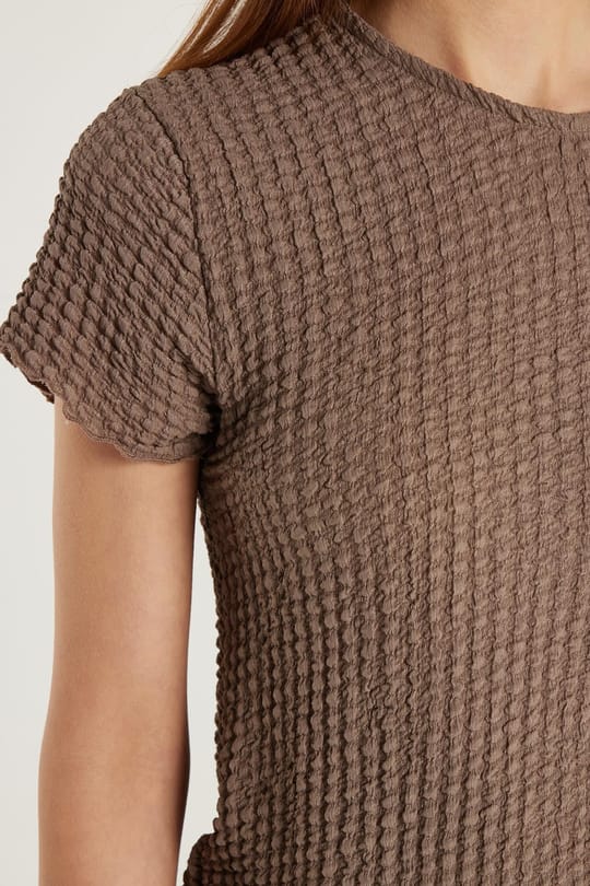Kadın Slim Fit Dar Kesim Kısa Kollu Bisiklet Yaka Vizon Tişört