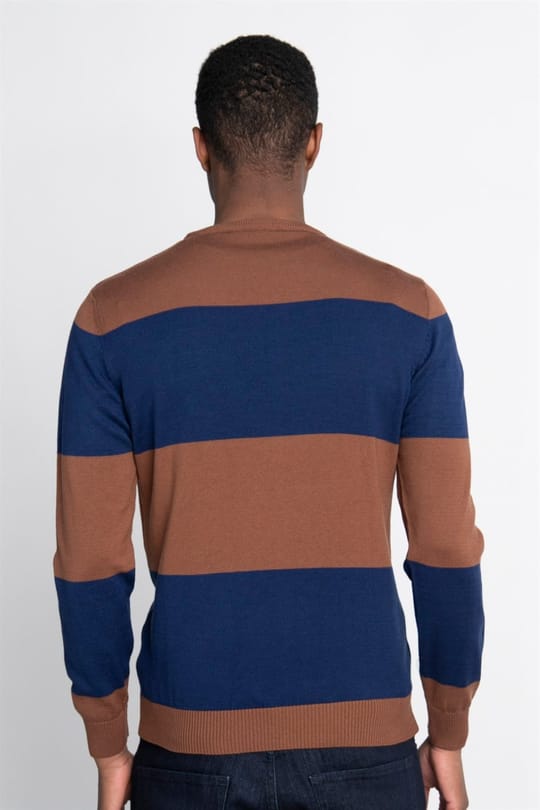 Erkek Slim Fit Dar Kesim Bisiklet Yaka Desenli Renkli Triko Kazak