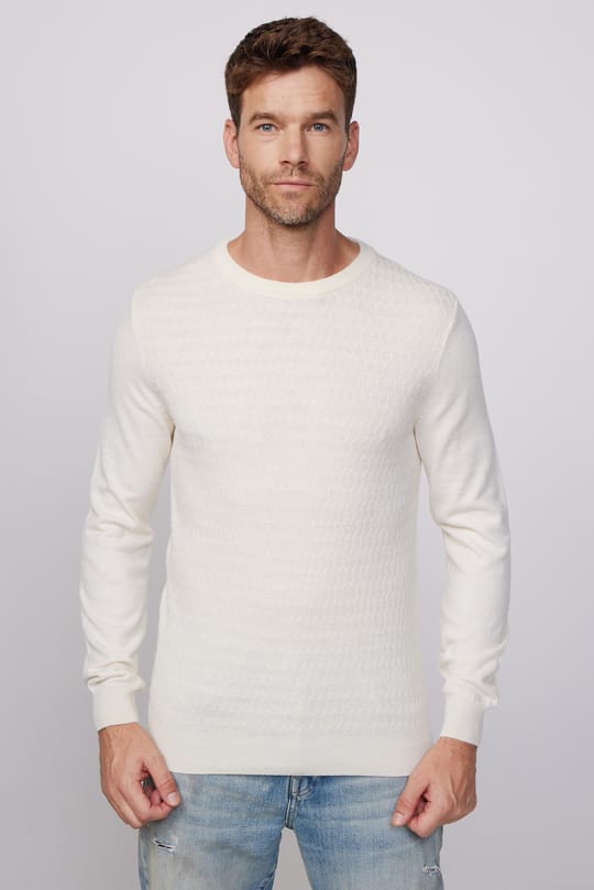 Erkek Slim Fit Bisiklet Yaka Kendinden Desenli Ekru Triko Kazak