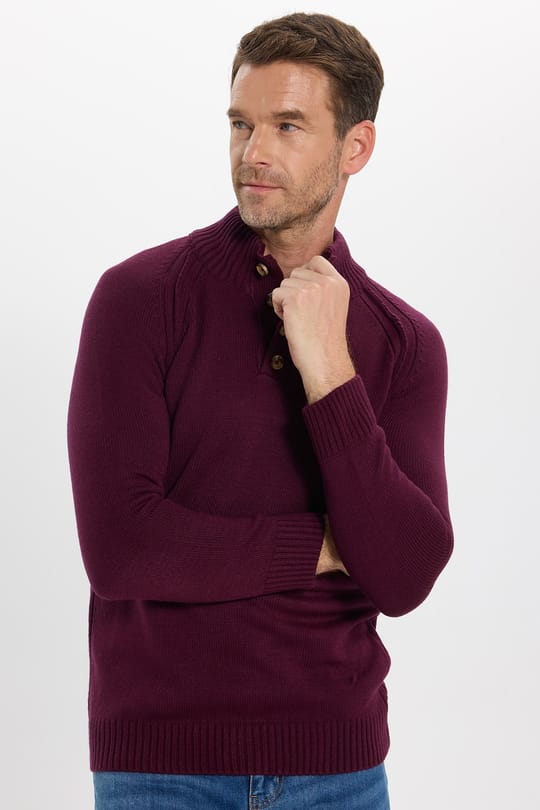 Erkek Slim Fit Dar Kesim Dik Yaka Düğmeli Bordo Triko Kazak