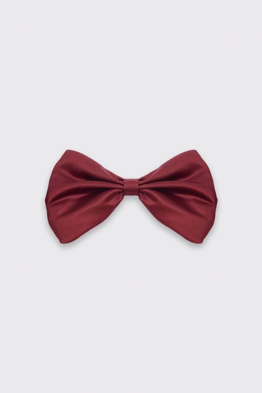 BIG BOW TIE