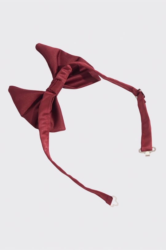 Erkek Bordo Papyon