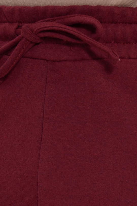 Erkek Regular Fit Klasik Kesim Beli Bağcıklı Jogger Cepli Lastikli Paça Bordo Eşofman Altı