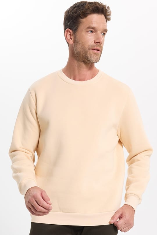 Unisex Relax Fit Rahat Kesim Pamuklu 3 İplik İçi Polarlı Bej Renk Bisiklet Yaka Sweatshirt