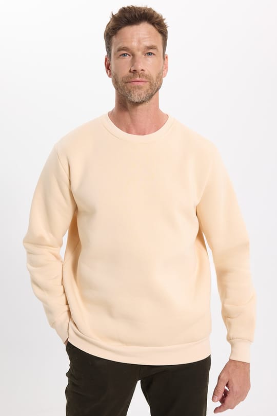 Unisex Relax Fit Rahat Kesim Pamuklu 3 İplik İçi Polarlı Bej Renk Bisiklet Yaka Sweatshirt