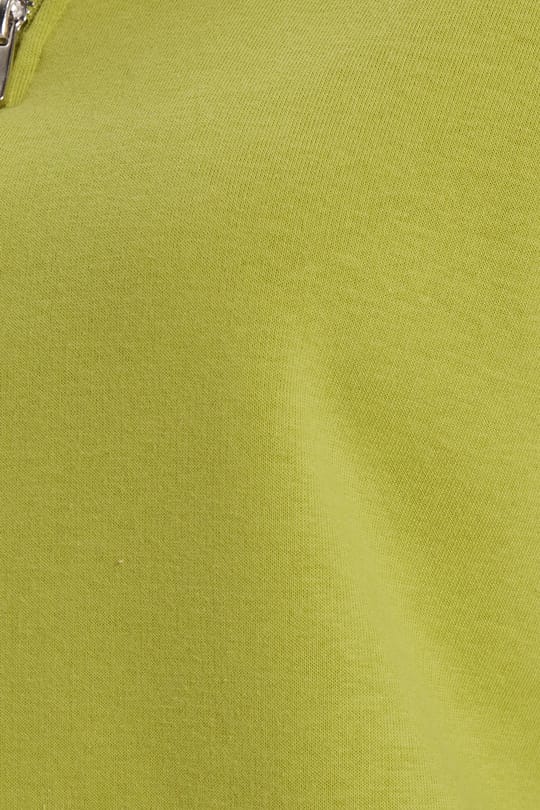 Kadın Relax Fit Rahat Kesim Pamuklu İçi Polarlı Yarım Fermuarlı Yeşil Dik Yaka Sweatshirt