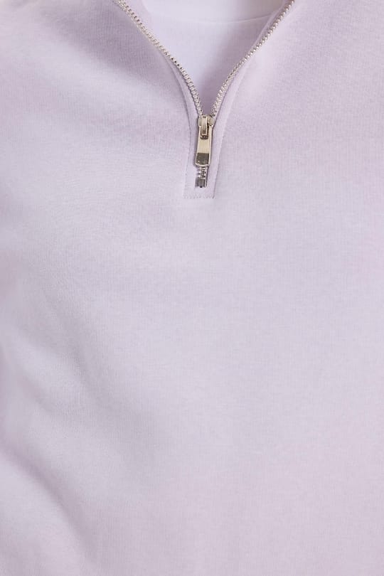 Kadın Relax Fit Rahat Kesim Pamuklu İçi Polarlı Yarım Fermuarlı Lila Dik Yaka Sweatshirt