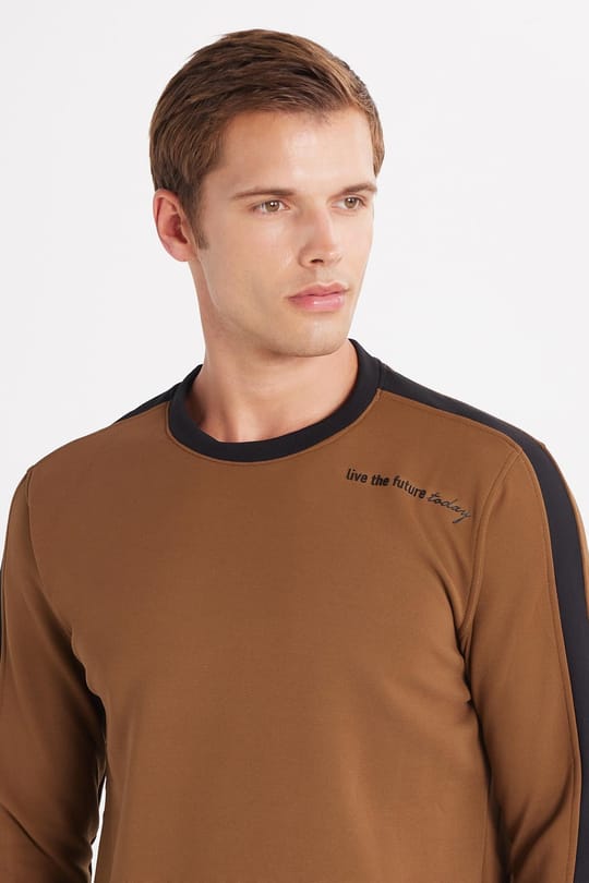 Erkek Standart Fit Pamuklu Jakarlı Bisiklet Yaka Baskılı Kahverengi Sweatshirt