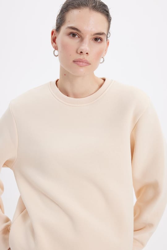 Kadın Oversize Geniş Kesim Pamuklu 3 İplik İçi Polarlı Basic Bej Bisiklet Yaka Sweatshirt