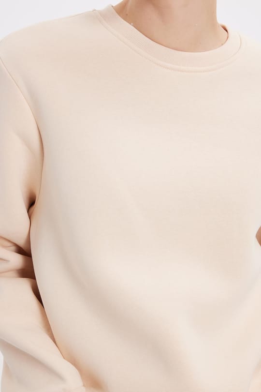 Kadın Oversize Geniş Kesim Pamuklu 3 İplik İçi Polarlı Basic Bej Bisiklet Yaka Sweatshirt