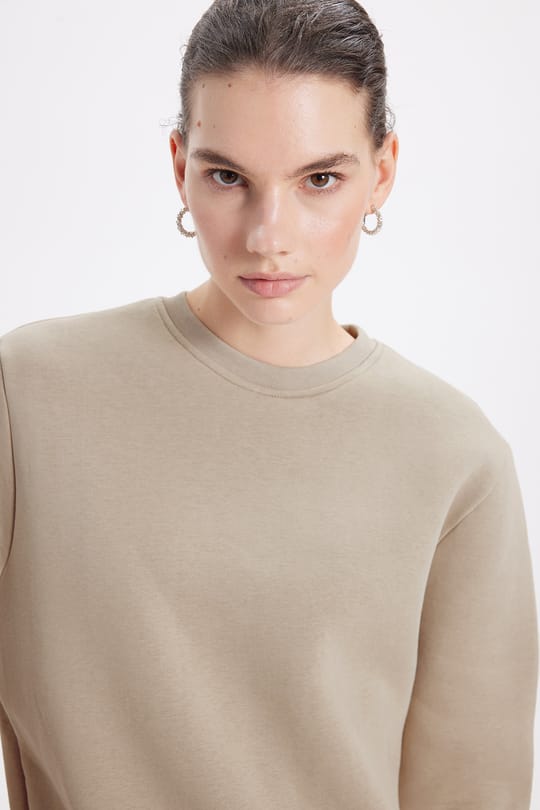 Kadın Oversize Geniş Kesim Pamuklu 3 İplik İçi Polarlı Basic Taş Bisiklet Yaka Sweatshirt