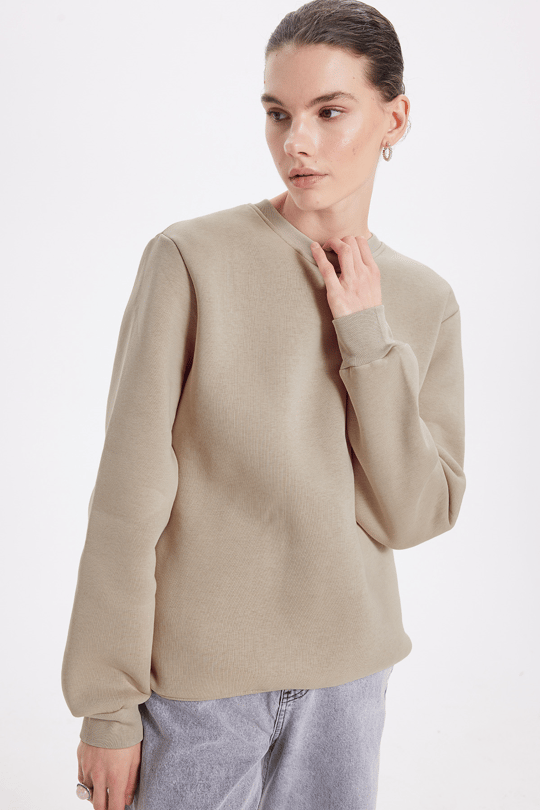 Kadın Oversize Geniş Kesim Pamuklu 3 İplik İçi Polarlı Basic Taş Bisiklet Yaka Sweatshirt