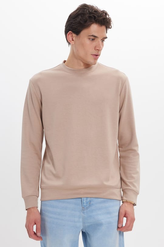 Erkek Standart Fit Normal Kesim Uzun Kollu Ekstra Soft Modal Kumaş Bisiklet Yaka Koyu Vizon Sweatshirt