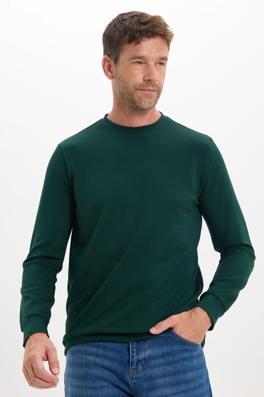 Erkek Standart Fit Normal Kesim Uzun Kollu Ekstra Soft Modal Kumaş Bisiklet Yaka Yeşil Sweatshirt