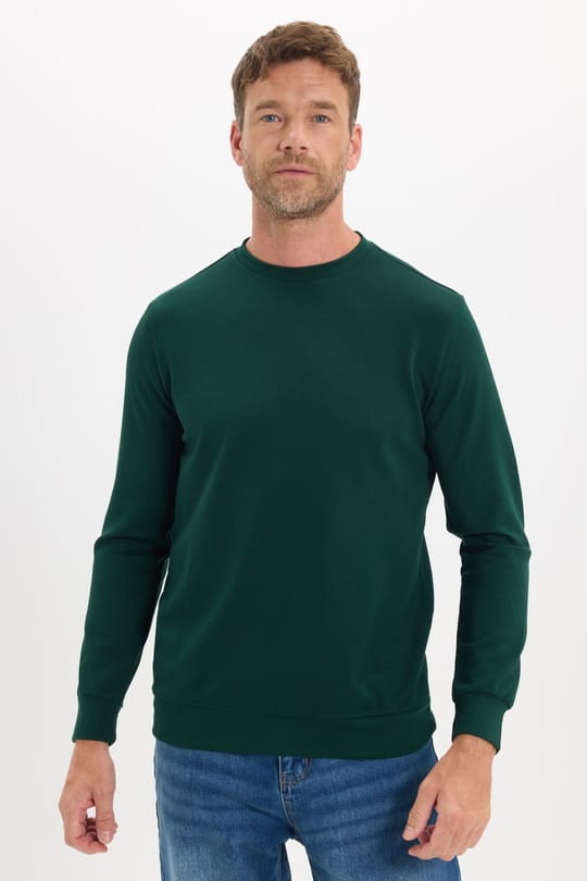 Erkek Standart Fit Normal Kesim Uzun Kollu Ekstra Soft Modal Kumaş Bisiklet Yaka Yeşil Sweatshirt