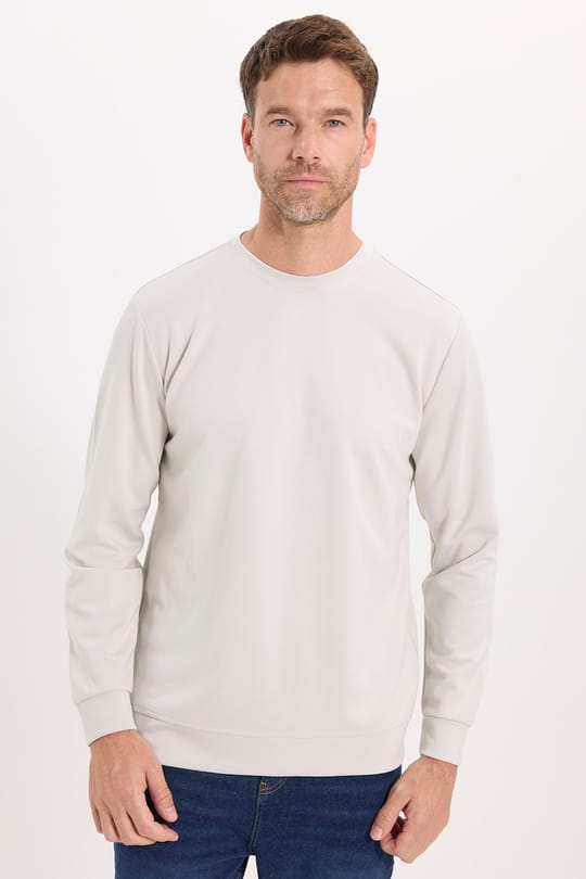 Erkek Standart Fit Normal Kesim Uzun Kollu Ekstra Soft Modal Kumaş Bisiklet Yaka Taş Sweatshirt