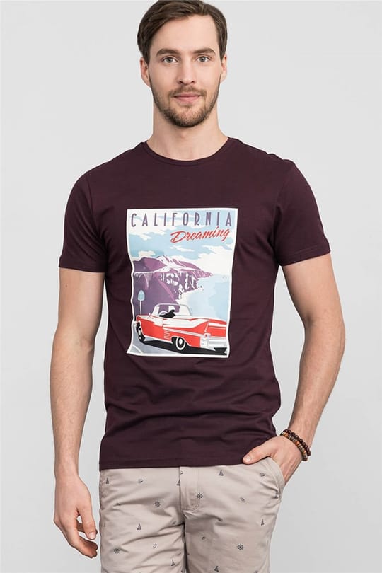 Slim Fit Dar Kesim Bisiklet Yaka Baskılı Erkek T-Shirt