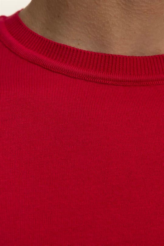 Erkek Slim Fit Dar Kesim Pamuklu Örme Triko Nar Renk Bisiklet Yaka Tişört