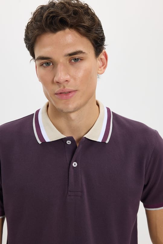 Erkek Slim Fit Dar Kesim %100 Pamuk Eflatun Polo Yaka Tişört