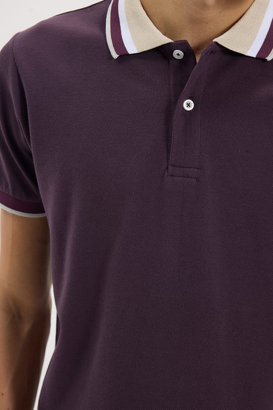 Erkek Slim Fit Dar Kesim %100 Pamuk Eflatun Polo Yaka Tişört