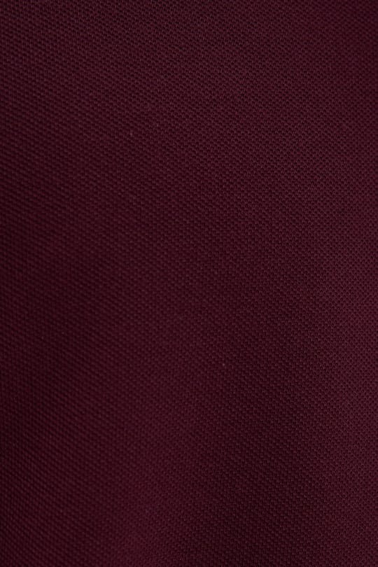 Erkek Slim Fit Dar Kesim %100 Pamuklu Çizgili Detaylı V Yaka Bordo Polo Yaka Tişört