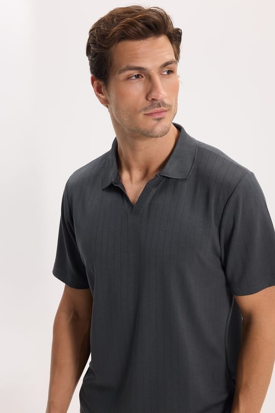 Erkek Slim Fit Dar Kesim Pamuklu Kısa Kollu Çizgili Antrasit Polo V Yaka Tişört