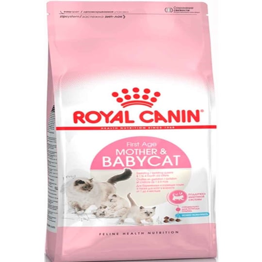 Royal Canin / Kedi Maması / Köpek Maması / Amazon Pet Center