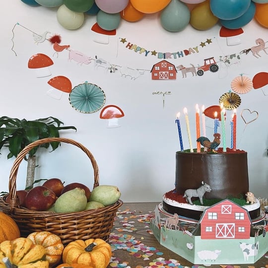 Meri Meri On The Farm Cupcake Kit - 24 Adorable Animal Toppers & Cases, Farmyard Party Decor - View #7
