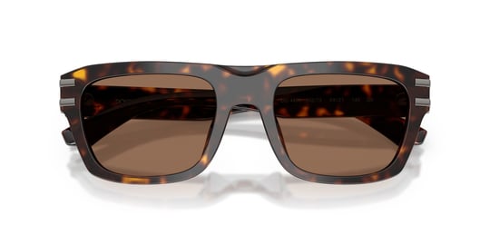 Dolce Gabbana 0DG 4496 502/73 54 Erkek Güneş Gözlüğü