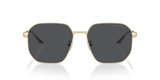 Emporio Armani 0EA 2154D 3013/87 57 Unisex Güneş Gözlüğü