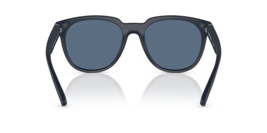 Emporio Armani 0EA 4205 5088/80 55 Erkek Güneş Gözlüğü