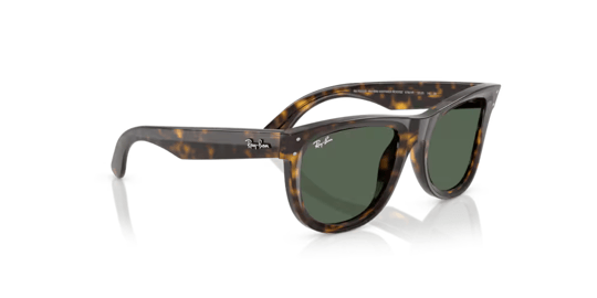 Ray-Ban 0RB 0502S 6790/VR 50 Unisex Sunglasses
