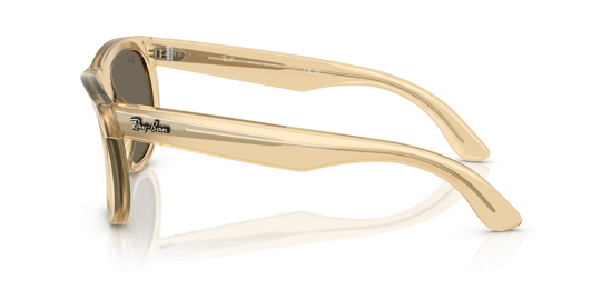 Ray-Ban 0RB 0502S 6821/5A 50 Unisex Güneş Gözlüğü