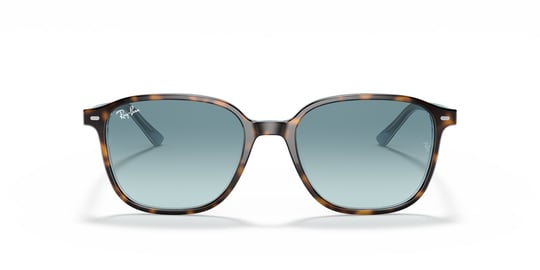 Ray-Ban 0RB 2193 1316/3M 53 Unisex Sunglasses