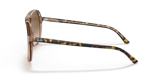 Ray-Ban 0RB 2198 1292/51 60 Unisex Güneş Gözlüğü