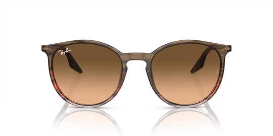 Ray-Ban 0RB 2204 1395/3B 51 Unisex Sunglasses