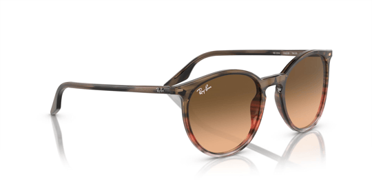 Ray-Ban 0RB 2204 1395/3B 51 Unisex Sunglasses