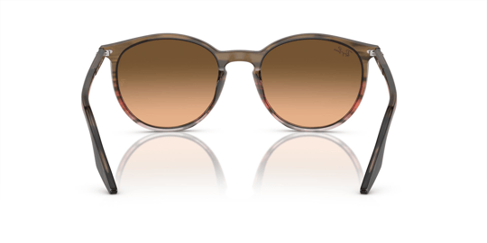 Ray-Ban 0RB 2204 1395/3B 51 Unisex Sunglasses