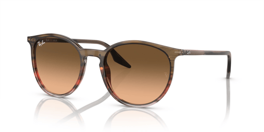 Ray-Ban 0RB 2204 1395/3B 51 Unisex Sunglasses