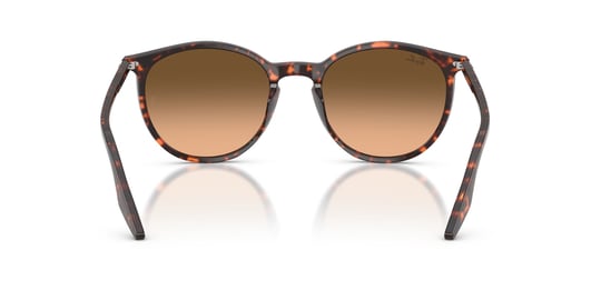 Ray-Ban 0RB 2204 1429/3B 54 Unisex Sunglasses