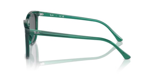 Ray-Ban 0RB 2210 6615/B1 53 Unisex Güneş Gözlüğü