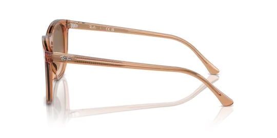 Ray-Ban 0RB 2210 6764/51 53 Unisex Güneş Gözlüğü
