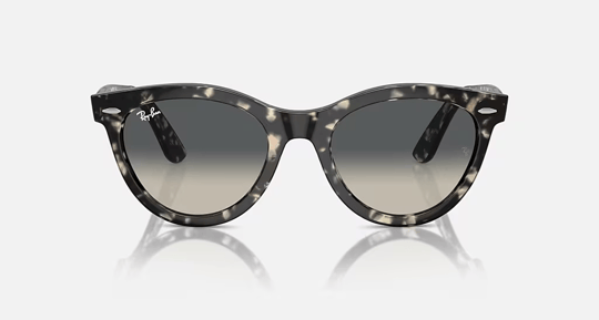 Ray-Ban 0RB 2241 1333/71 54 Kadın Güneş Gözlüğü