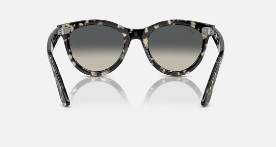 Ray-Ban 0RB 2241 1333/71 54 Kadın Güneş Gözlüğü