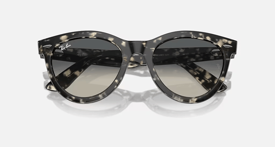 Ray-Ban 0RB 2241 1333/71 54 Kadın Güneş Gözlüğü