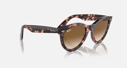 Ray-Ban 0RB 2241 1334/51 54 Kadın Güneş Gözlüğü