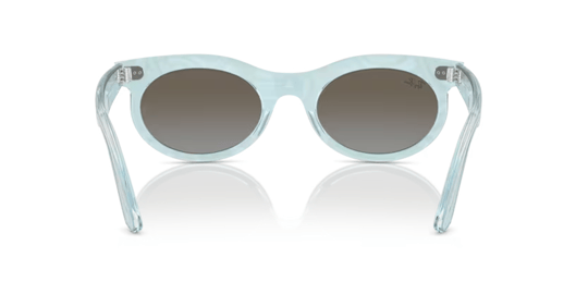 Ray-Ban 0RB 2242 1385/96 53 Unisex Güneş Gözlüğü