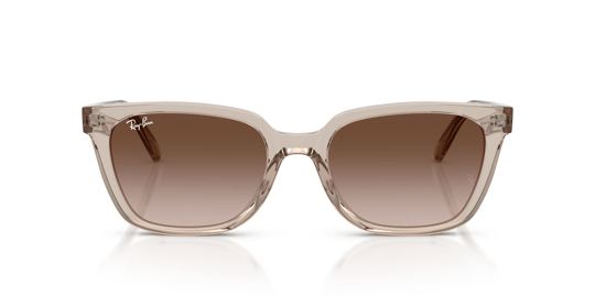 Ray-Ban 0RB 2243D 6827/13 55 Kadın Güneş Gözlüğü