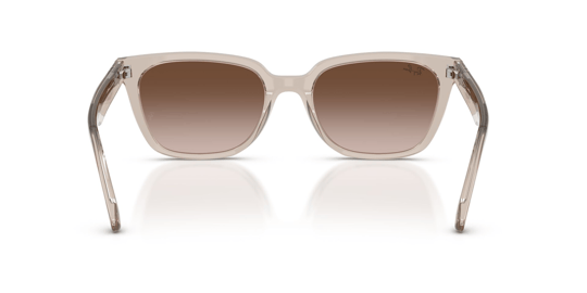 Ray-Ban 0RB 2243D 6827/13 55 Kadın Güneş Gözlüğü