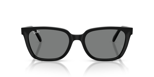 Ray-Ban 0RB 2243D 901/87 55 Kadın Güneş Gözlüğü